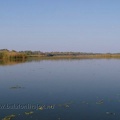 t0410118