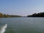 t0410139