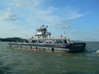 p1800401