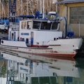 p3170500