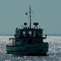 p1800496c