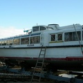 sany0229