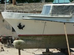 p1540951