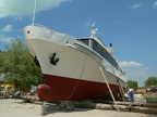 p1560273