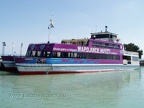 p8177424