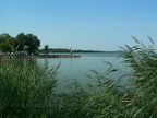 p1370756