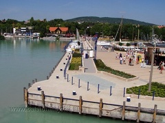 p8177553