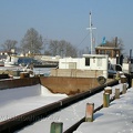 sany0782