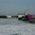 sany0969