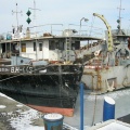sany0997
