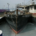 sany1037