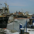 sany1039