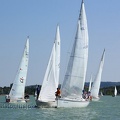 img40391