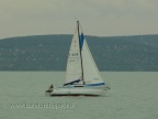 p1350524