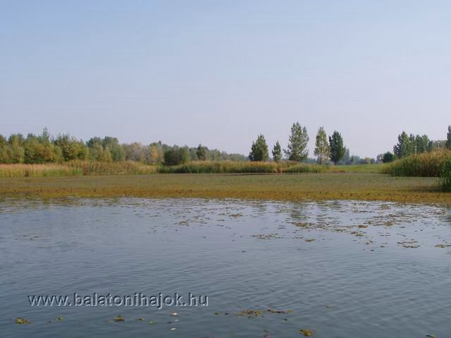 t0410124.jpg