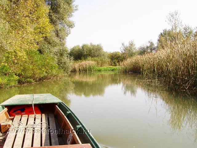 t0410147.jpg