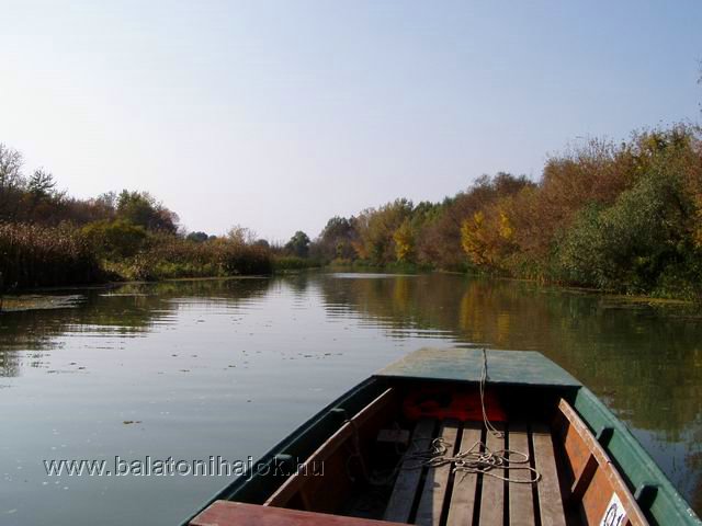 t0410166.jpg