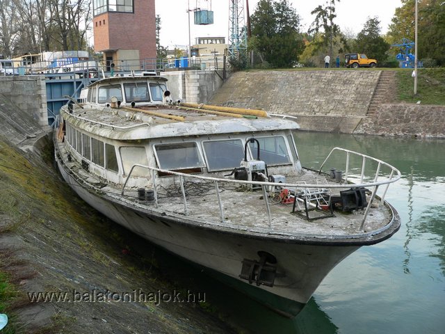 p1170529.jpg