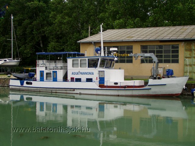 p7024992.jpg
