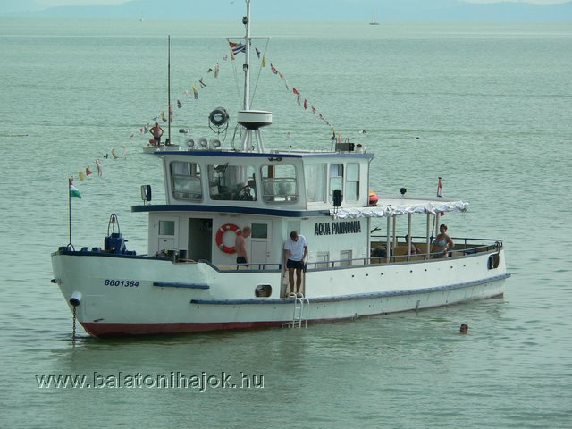 p1620186.jpg