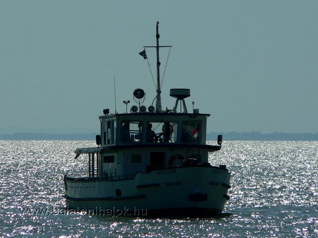 p1800496c.jpg