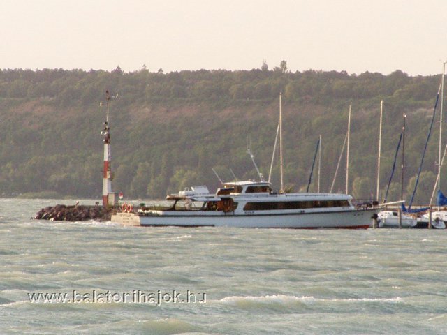 p7105778c.jpg