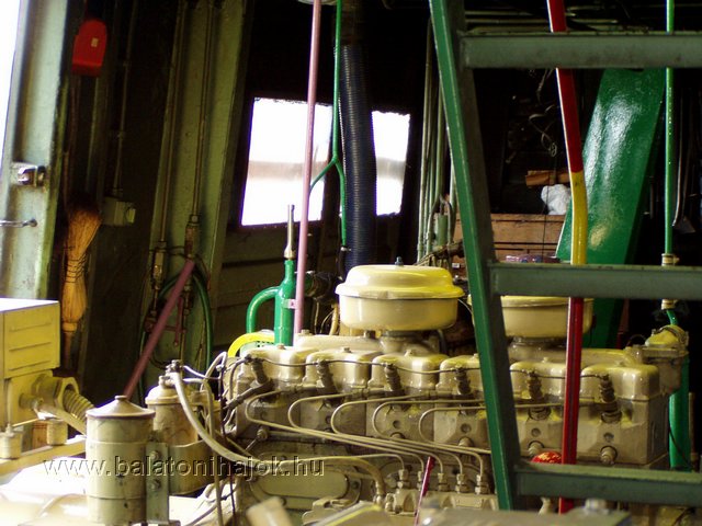 p7203643.jpg
