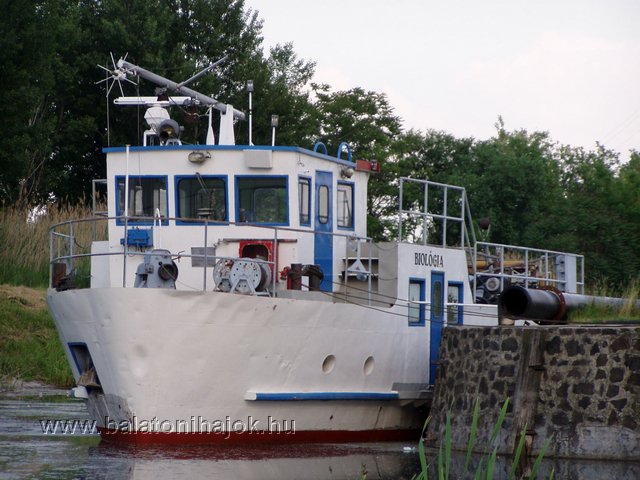 p5302714.jpg