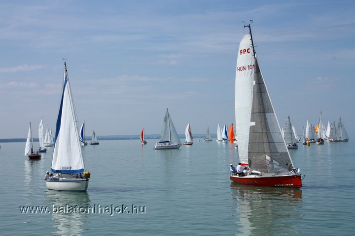 img12096.jpg