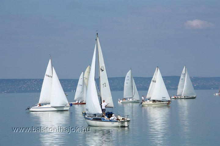 img12156.jpg
