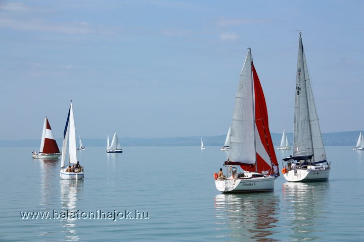 img12224.jpg