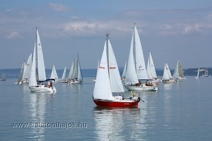 img12239.jpg
