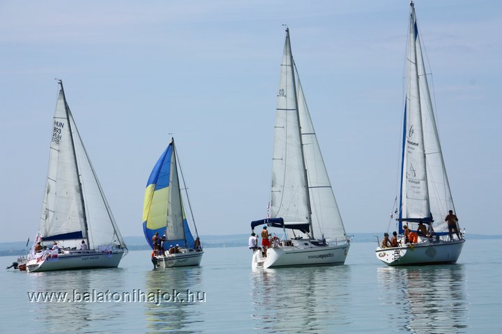 img12246.jpg
