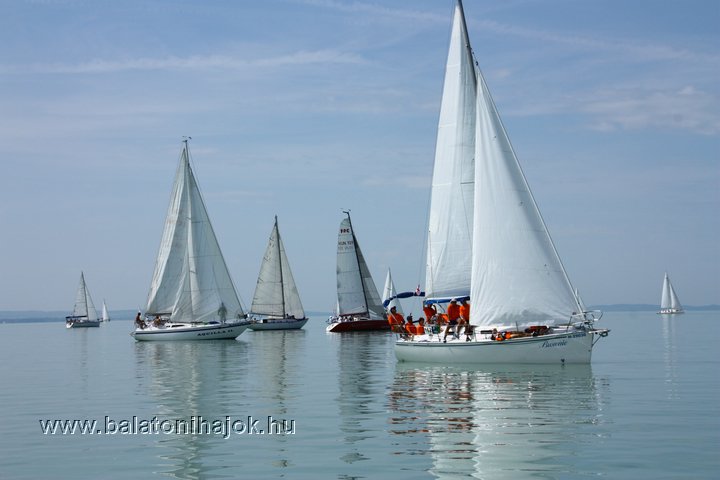 img12269.jpg