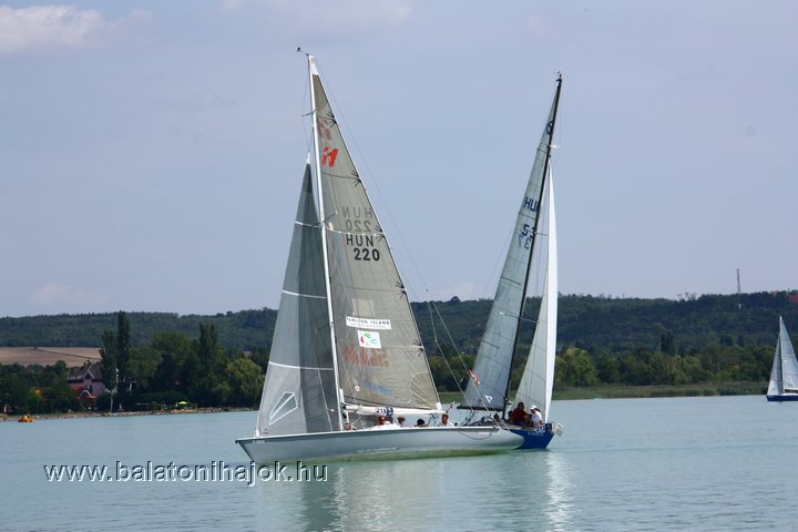 img12584.jpg