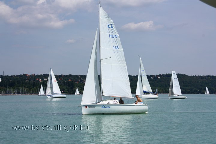 img12663.jpg