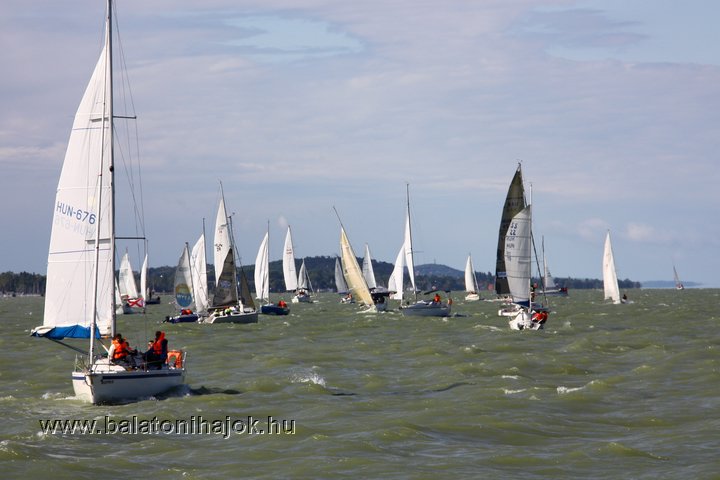 img19194c.jpg