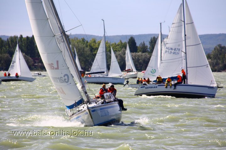 img19238c.jpg