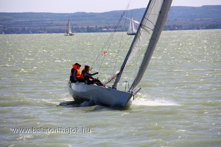 img19308.jpg