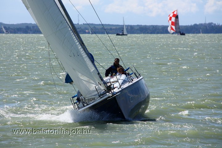 img19342c.jpg