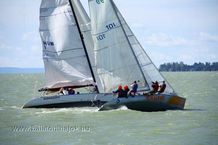 img19350.jpg