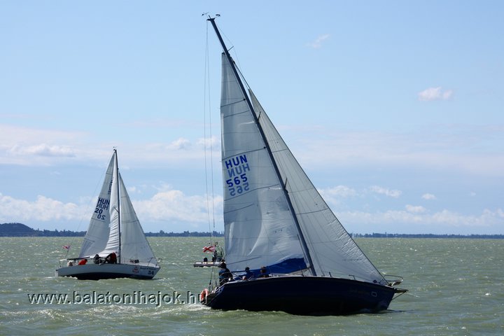 img19355c.jpg