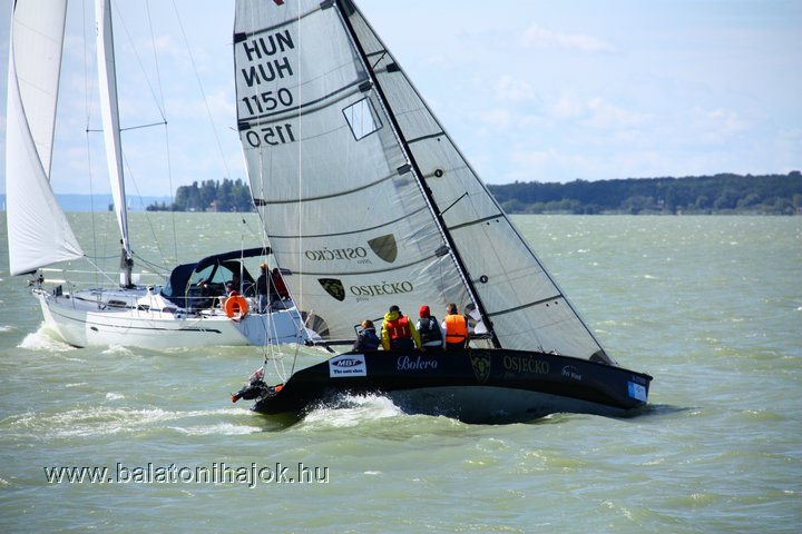 img19398.jpg