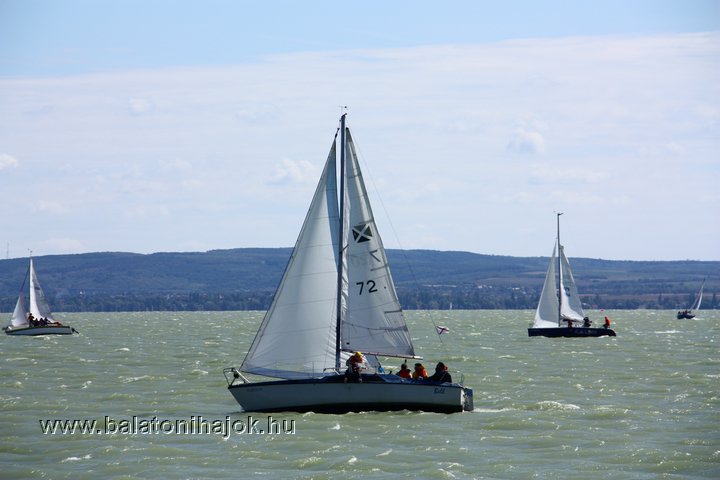 img19464.jpg