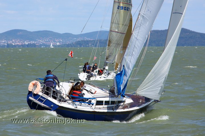 img19632c.jpg