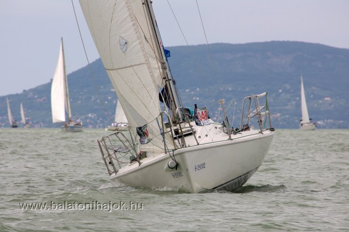 img39764.cr2.jpg