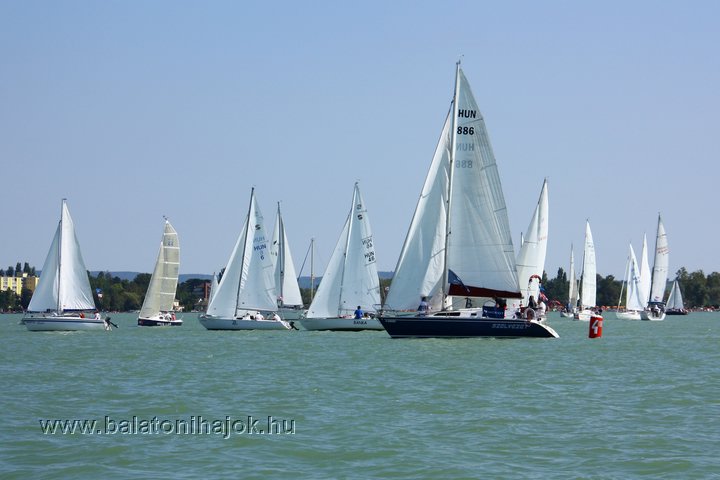 img40375.jpg