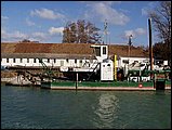 zsuzsa-3.jpg